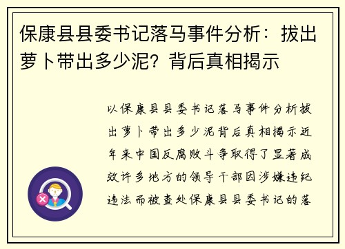 保康县县委书记落马事件分析：拔出萝卜带出多少泥？背后真相揭示